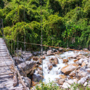 pont-suspendu-jungle-perou